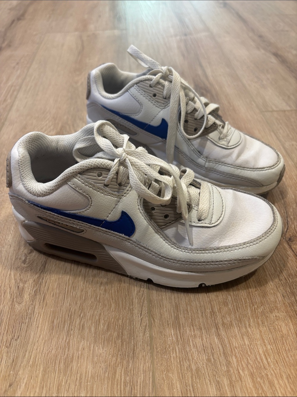 Nike Youth Air Max Sneakers with Blue Swoosh